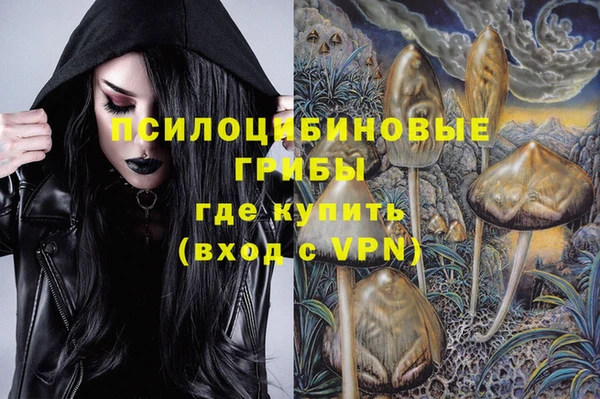 метамфетамин Алексин
