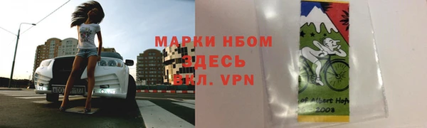 индика Алзамай