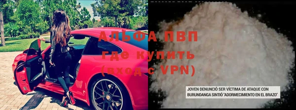 тгк Абаза