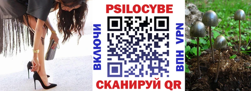 где купить наркоту  Тайга  Псилоцибиновые грибы GOLDEN TEACHER 