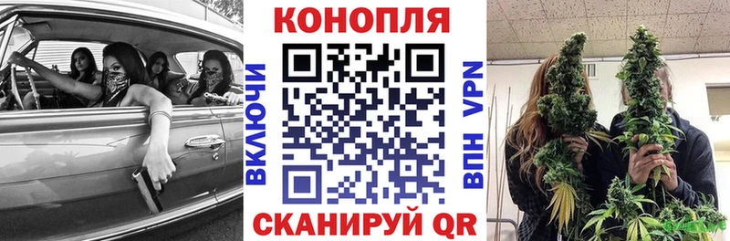 Бошки Шишки марихуана  omg как войти  Тайга 